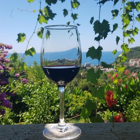 Vila Pogled Petrovac 외부 사진