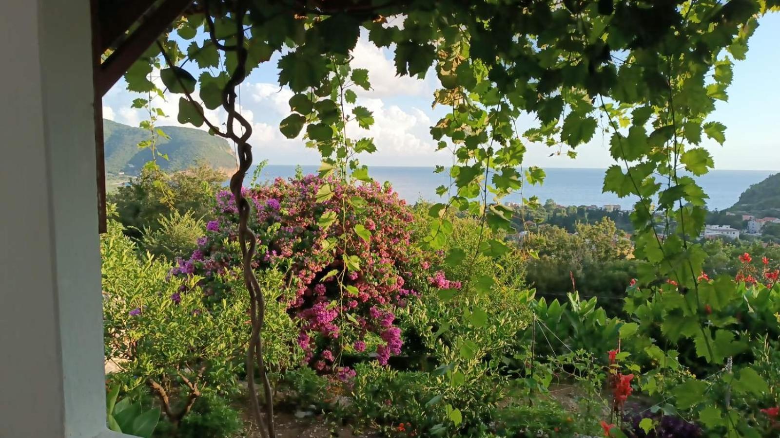 Vila Pogled Petrovac 외부 사진
