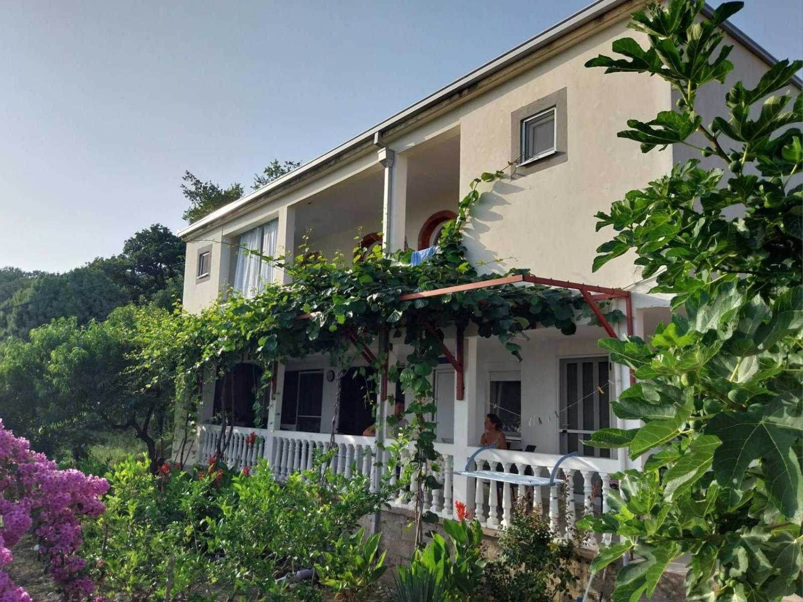 Vila Pogled Petrovac 외부 사진