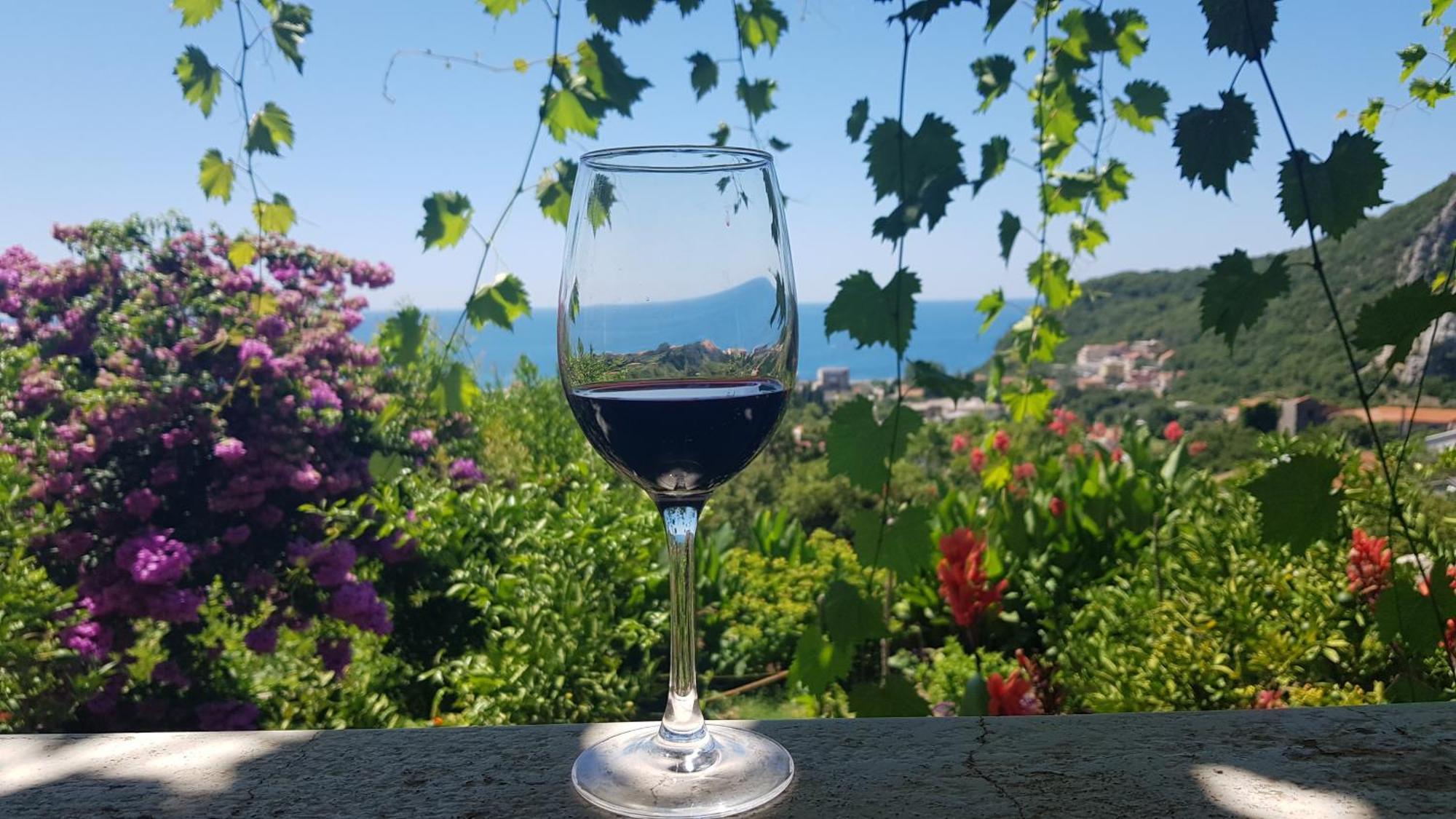 Vila Pogled Petrovac 외부 사진