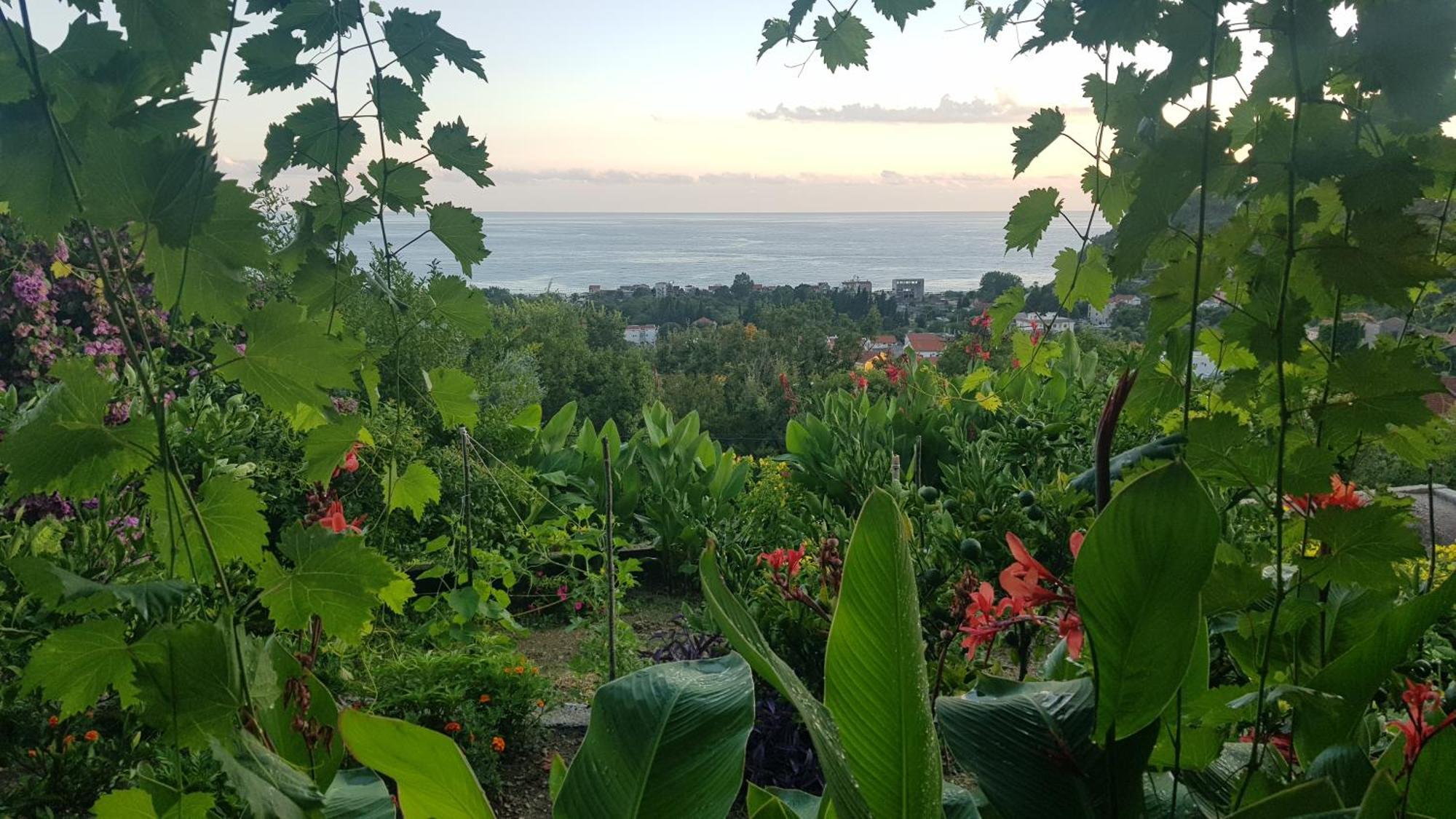 Vila Pogled Petrovac 외부 사진