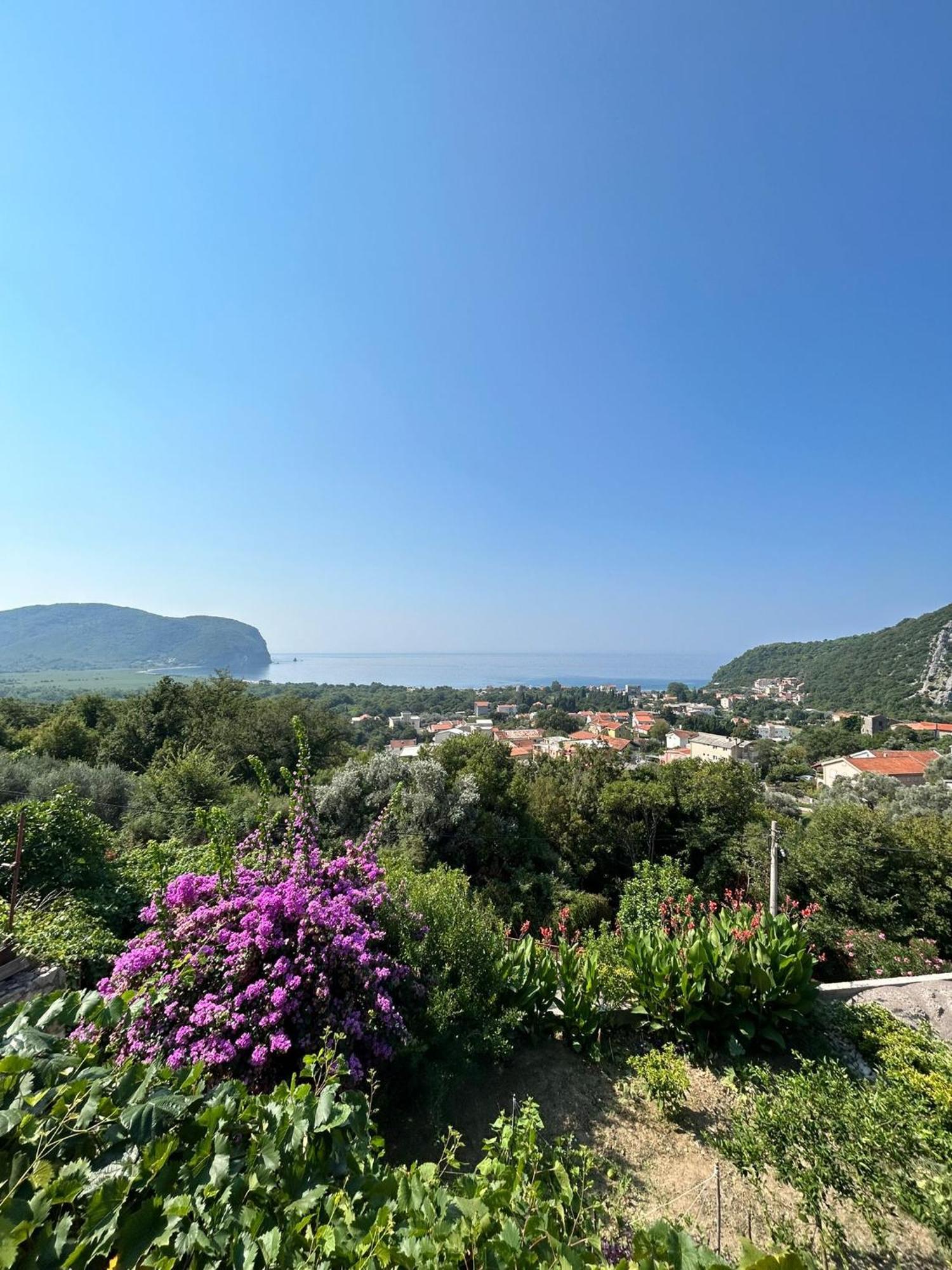 Vila Pogled Petrovac 외부 사진